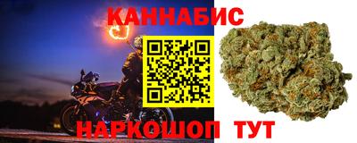 индика Северобайкальск
