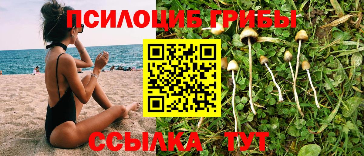 Новотроицк  Галлюциногенные грибы Psilocybe  Вход с VPN 