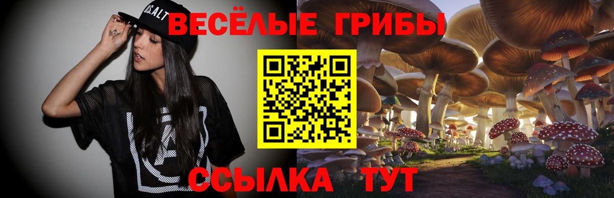Псилоцибиновые грибы MAGIC MUSHROOMS Новотроицк